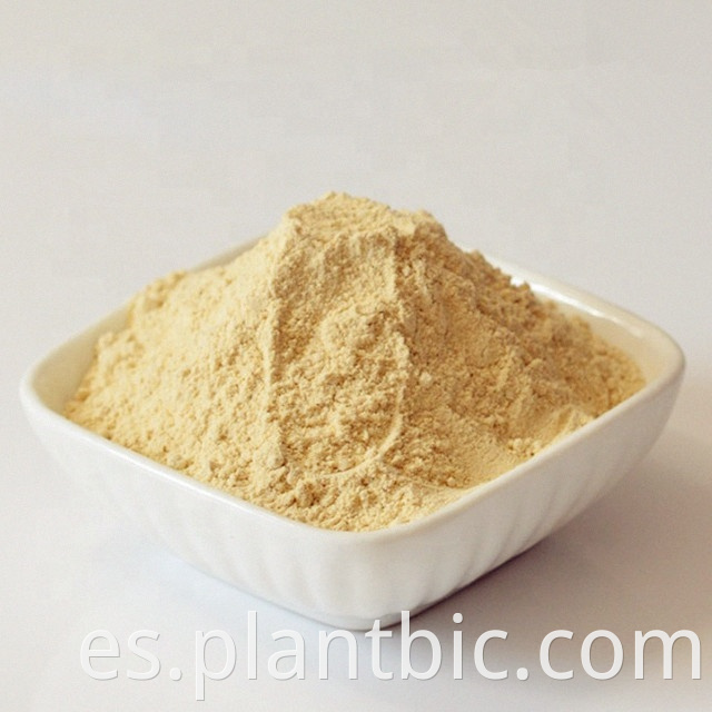 Venta caliente: Rheum Natural Officinale / Rheum Emodi Extract Powder 50: 1